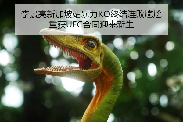 李景亮新加坡站暴力KO终结连败尴尬 重获UFC合同迎来新生